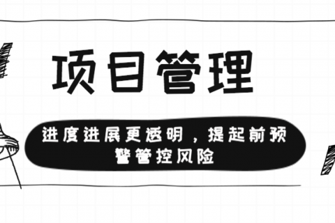 制定项目战略的重要性