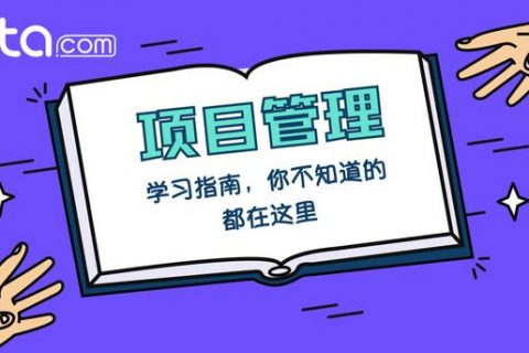 项目的风险管理