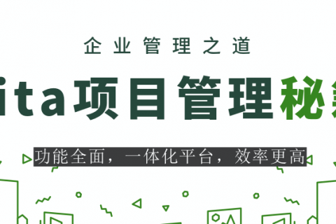 项目管理者如何管理项目团队