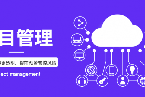 如何提高项目成功的概率