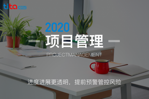什么是矩阵型项目组织？
