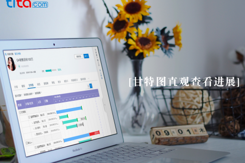 项目管理是组织战略落地的手段