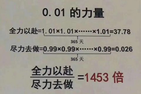 企业文化：0.01的力量