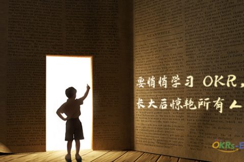 TOCC | 实施OKR的最佳环境