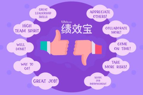 Tita绩效宝：为你的绩效评估提供100条评语案例