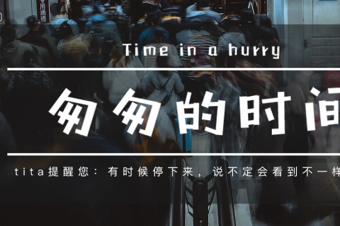 2024年 3 月 Tita 升级｜「绩效考核」支持参考员工历史绩效评价
