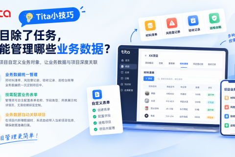 Tita 产品小技巧｜项目除了任务，还能管理哪些业务数据？